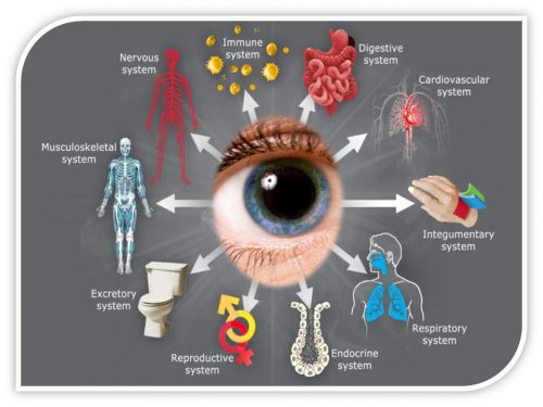 systemic-disease-and-the-eye-eye-courses